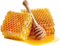Raw-Wildflower-Honey